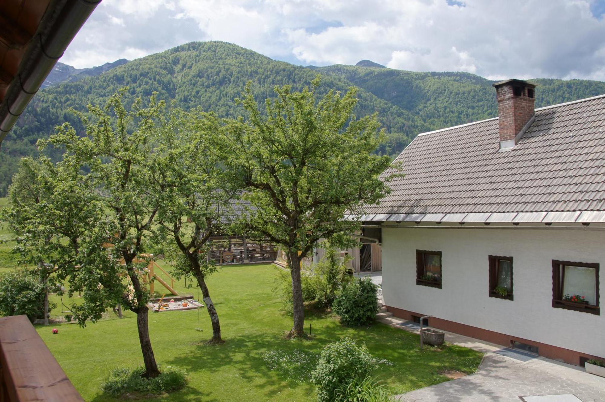 Apartments Markez Бохінь Номер фото